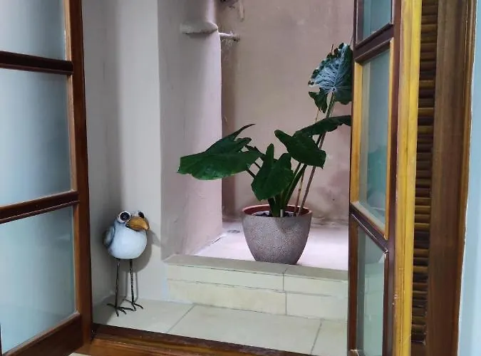 Appartement South Street 46